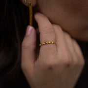 Burma Ring