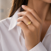 Platten Ring